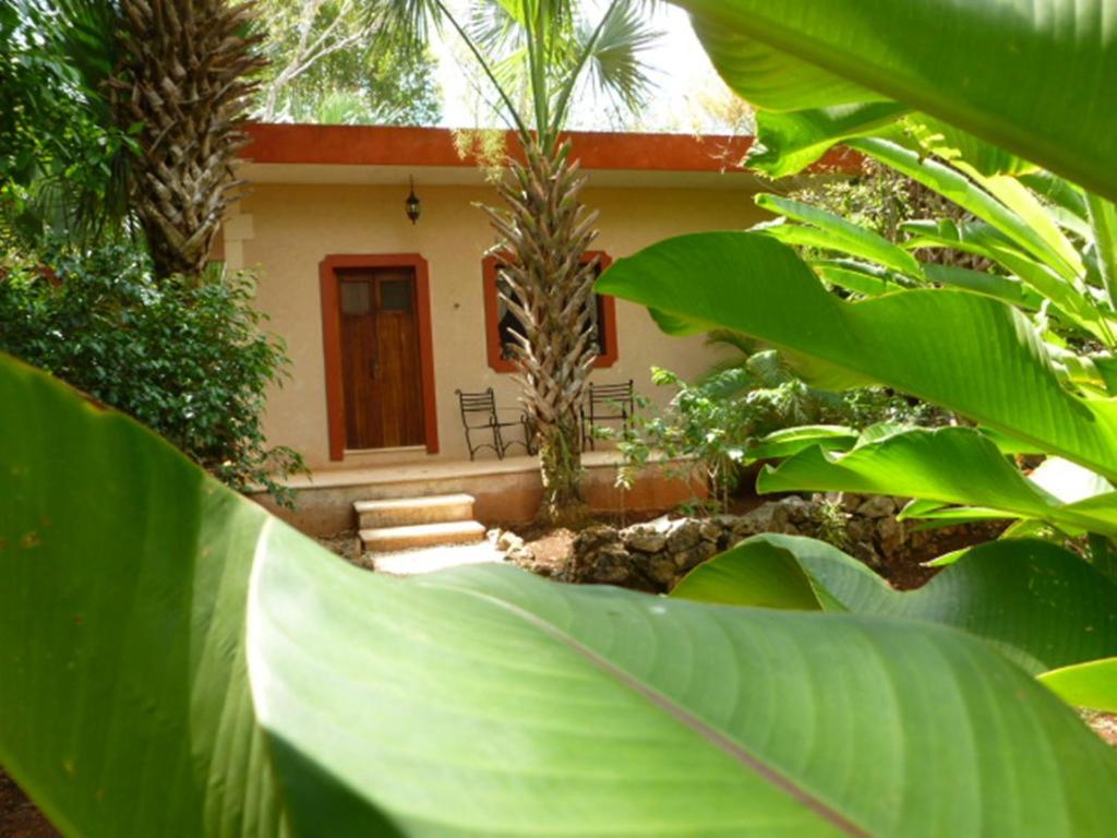The Flycatcher Inn Retreat Hotel Santa Elena Exteriér fotografie