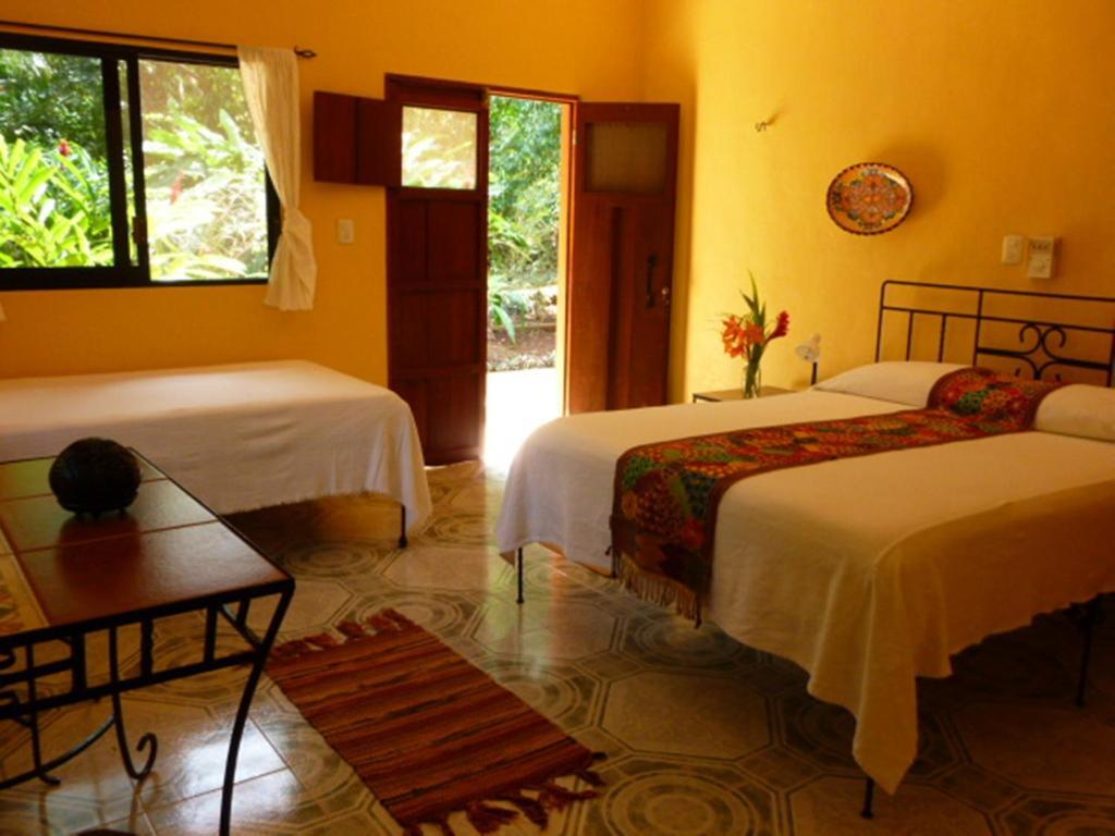The Flycatcher Inn Retreat Hotel Santa Elena Pokoj fotografie