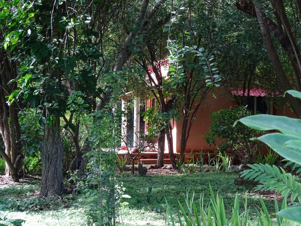 The Flycatcher Inn Retreat Hotel Santa Elena Exteriér fotografie