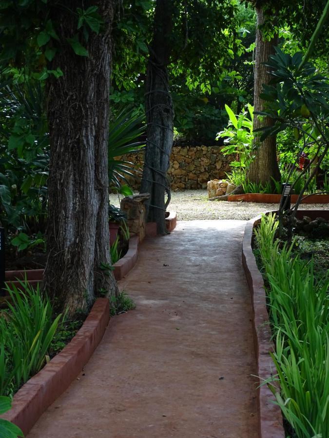 The Flycatcher Inn Retreat Hotel Santa Elena Exteriér fotografie
