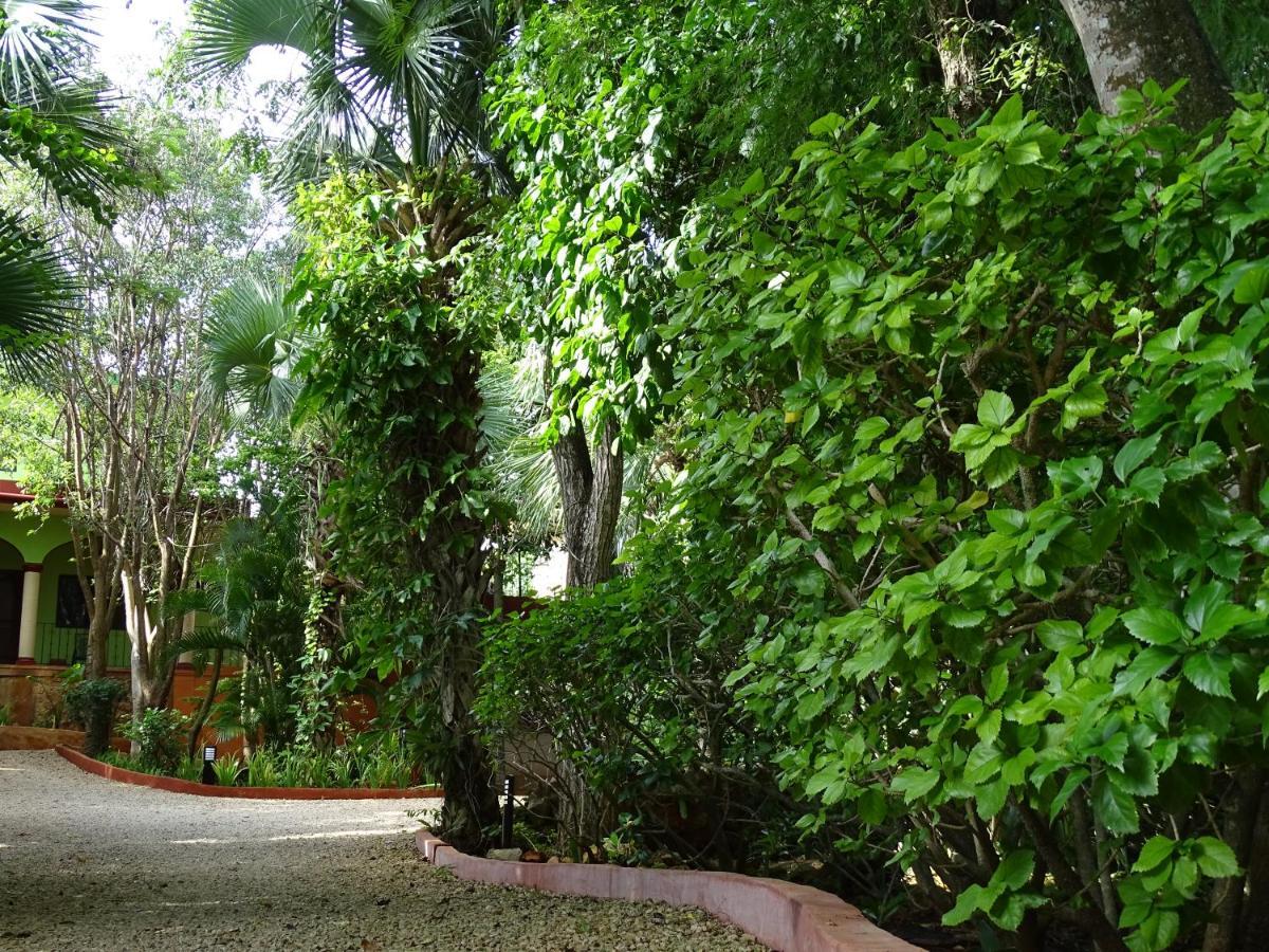 The Flycatcher Inn Retreat Hotel Santa Elena Exteriér fotografie